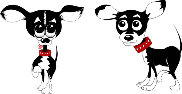 Lindo Pequeño Chihuahua Perro Vector Ilustración Aislado Sobre Fondo Blanco — Vector de stock