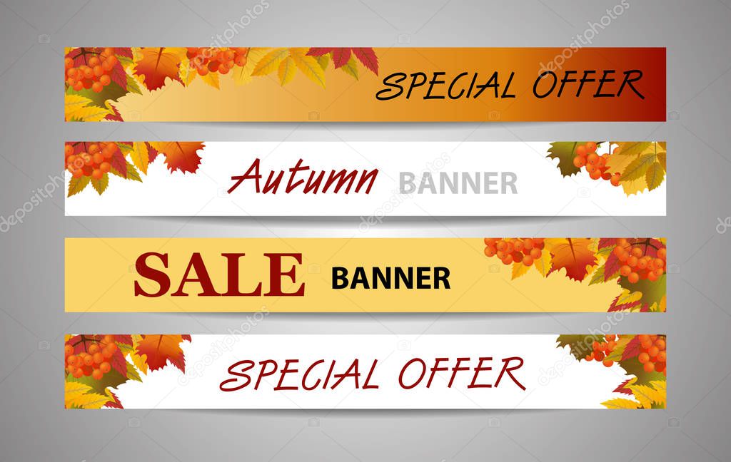 Set banners autumn or fall background with branch of rowan and maple leaves. Sale or Back to School. Vector illustration.