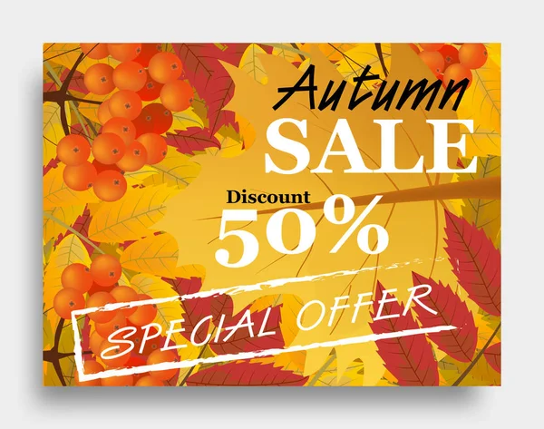 Fall Sale Autumn Sale Horizontal Poster Branch Rowan Maple Leaves — Stock Vector