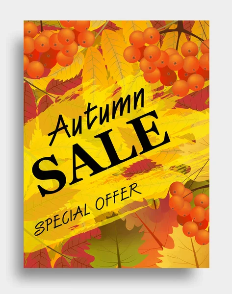 Fall Sale Autumn Sale Poster Branch Rowan Maple Leaves Vector — Stock Vector