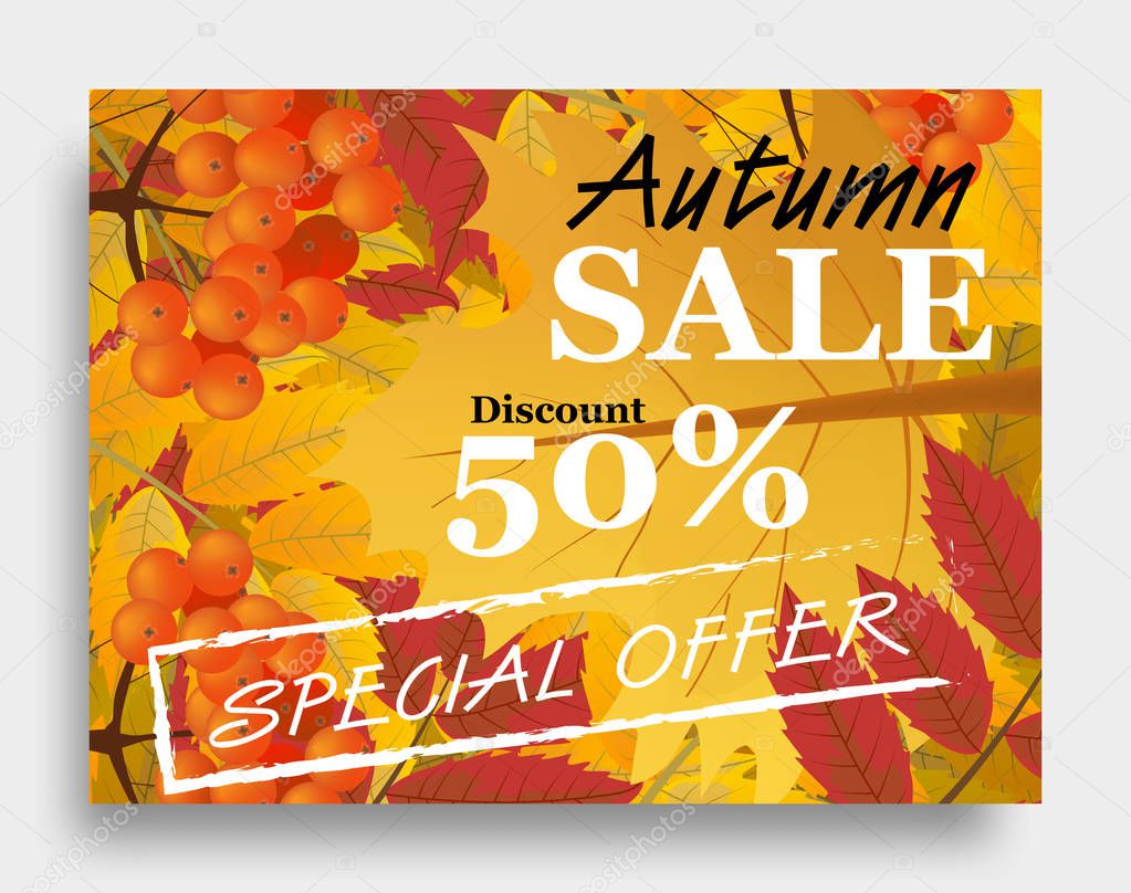 Fall sale or autumn sale horizontal poster with branch of rowan and maple leaves. Vector illustration.