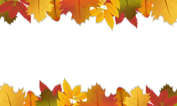 Осенний Фон Кленовыми Дубовыми Рябиновыми Листьями Осенний Дизайн Пространством Текста — стоковый вектор