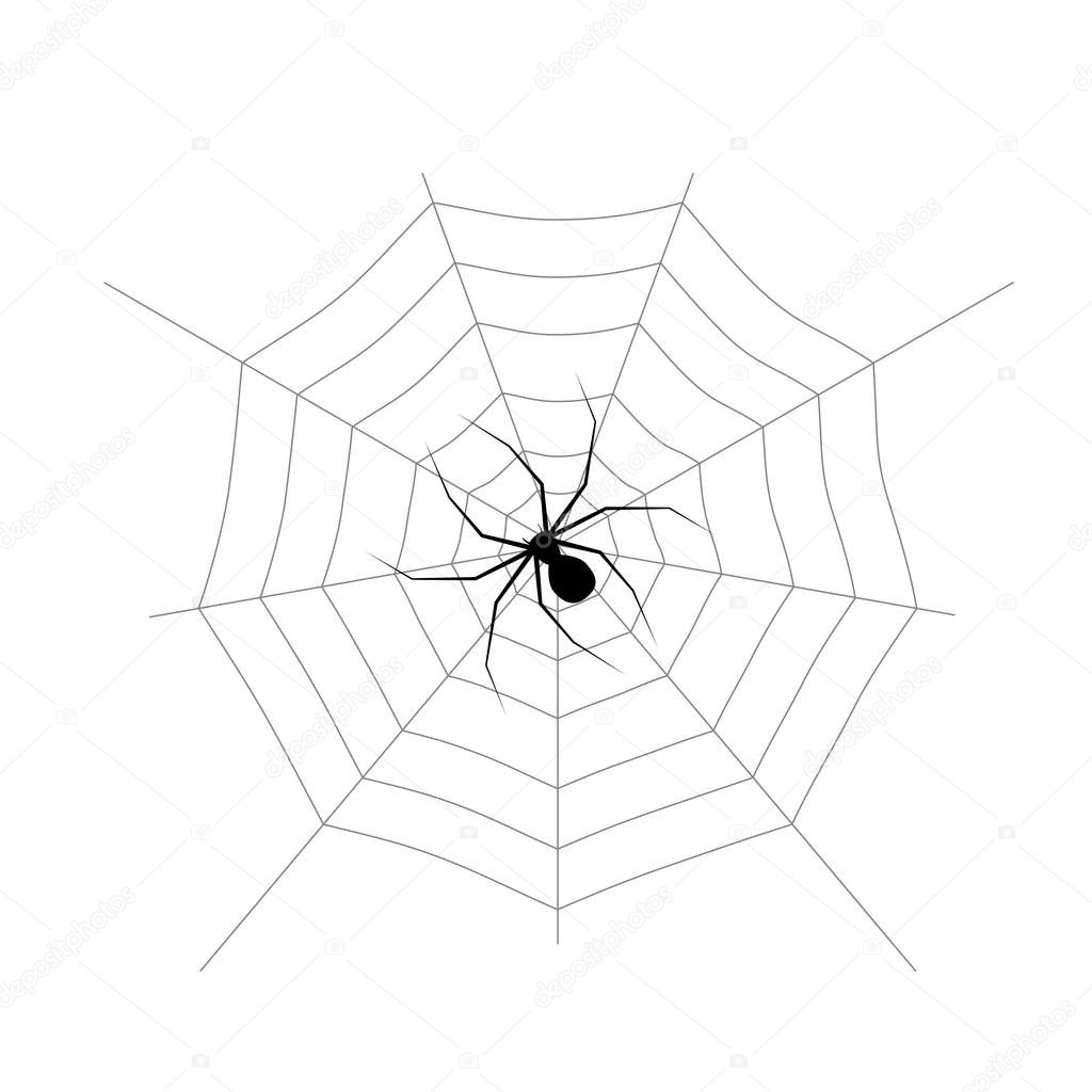 Spider web and isolated on white background. Design element for Halloween. Vector illustration.