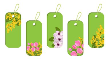 Yeşil etiket ve etiket bahar çiçekleri ile ayarlayın. Çiçekleri lale, Mimoza ve sakura veya kiraz. Vektör çizim.