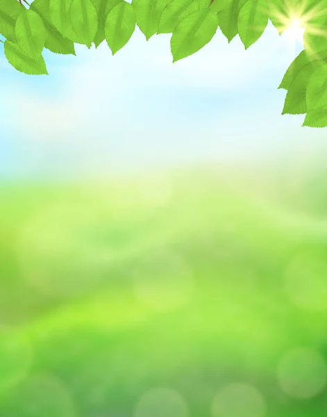 Grüne Natur Vertikalen Hintergrund Mit Blättern Auf Einem Verschwommenen Hintergrund — Stockvektor