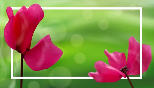 Vértes Virágot Bokeh Zöld Természetes Hátterű Keret Szép Sablon Banner — Stock Vector