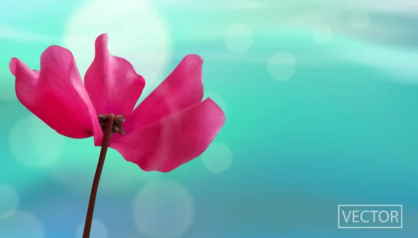 花的特写镜头在 Bokeh 蓝色背景 漂亮的模板卡或横幅设计 向量例证 — 图库矢量图片