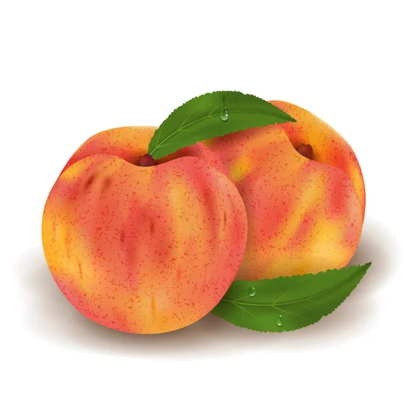 Two Realistic Ripe peaches whole and green leaves with drops. Juicy fruit 3d illustration high detail isolated on white background. Vector — Stock Vector