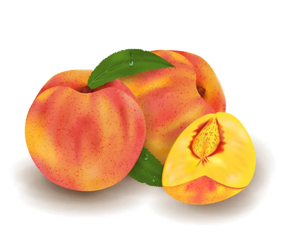 2 つの現実的な熟した桃全体とスライス、緑の滴と葉します。ジューシーなフルーツ 3 d イラスト高詳細白い背景に分離されました。ベクトル — ストックベクタ
