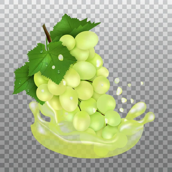 Raisin frais et éclaboussures de jus. Fruit 3d vecteur réaliste sur fond transparent . — Image vectorielle