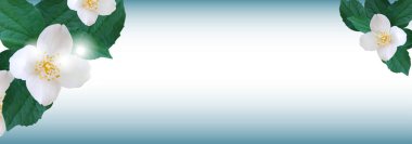 Yasemin güzel çiçekleri ile Afiş. Zarif arka plan, tebrik kartı veya düğün davetiyesi şablonu. Vektör