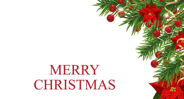圣诞装饰与盆状，冷杉树，冬青，浆果和装饰金丝带。在白色背景上隔离的 Xma 设计元素。向量 — 图库矢量图片
