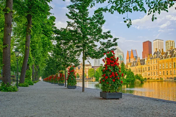 ハーグの公園路地やビネンホフ 夕暮れ時にオランダで背景の高層ビル — ストック写真