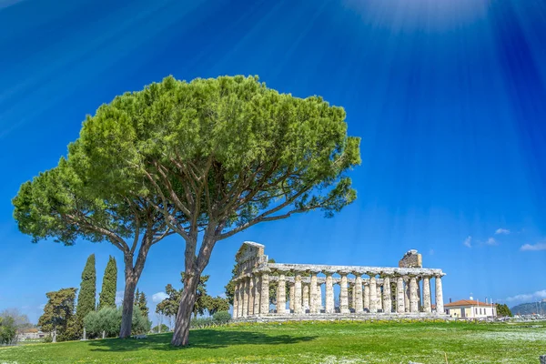 有名なパエストゥム考古学ユネスコ世界遺産の寺院 世界で最もよく保存されている古代ギリシャの寺院の一つ サレルノ カンパニア州 イタリア — ストック写真