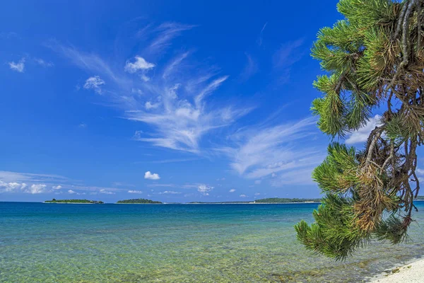 Strand Horvátországban, Isztria-félsziget — Stock Fotó