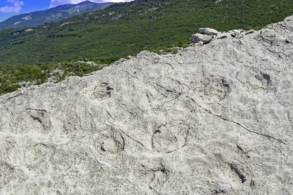 Dinosaur footprints from Jurassic age — Stock Photo, Image