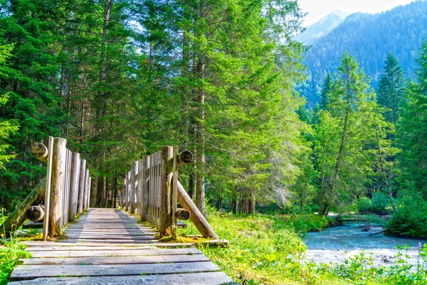 Paisagem florestal em Alpes italianos com ponte de madeira e rio — Fotografia de Stock