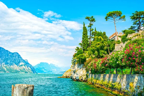 Gardasjön Vid Malcesine Slott Italien — Stockfoto