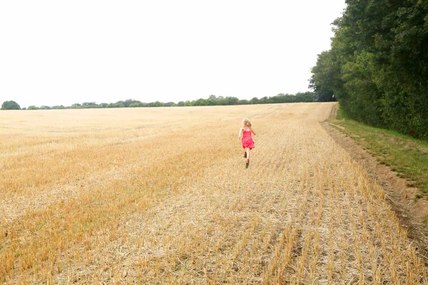 Dziewczyna Ubrana Różowy Sukienka Środowisko Brytyjskich Krajobrazów Essex — Zdjęcie stockowe