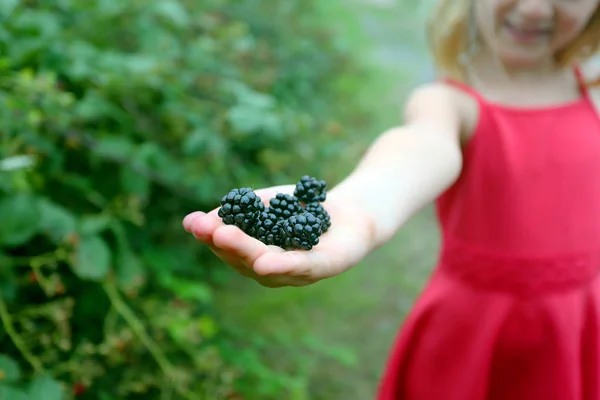 Picking Wild Blackberries Haand Little Blonde Girl — Stock Photo, Image