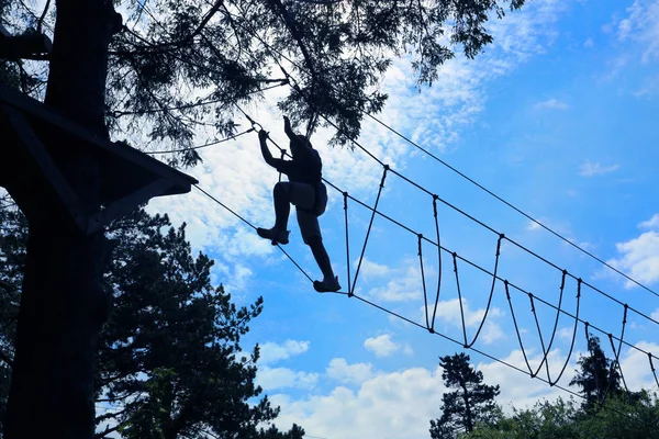 Silhouette Boy Climbing Taking Challenge High Ropes Obstacle Challenge Course — Stock Photo, Image