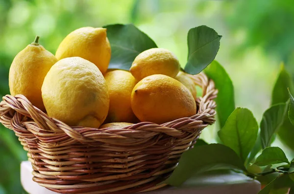 Citrons Dans Panier Isolé Sur Fond Vert — Photo