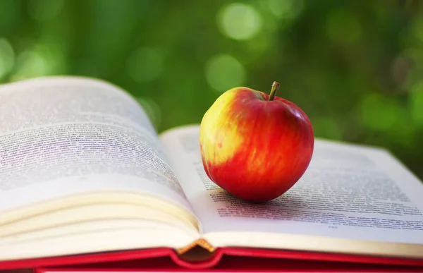 红色苹果与开放书在绿色背景 — 图库照片