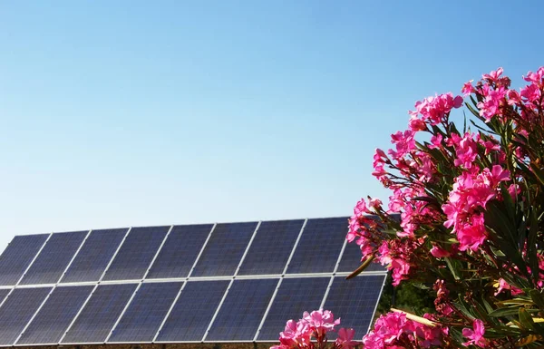 Сонячні Панелі Блакитному Небі Букетом Рожевих Квітів — стокове фото