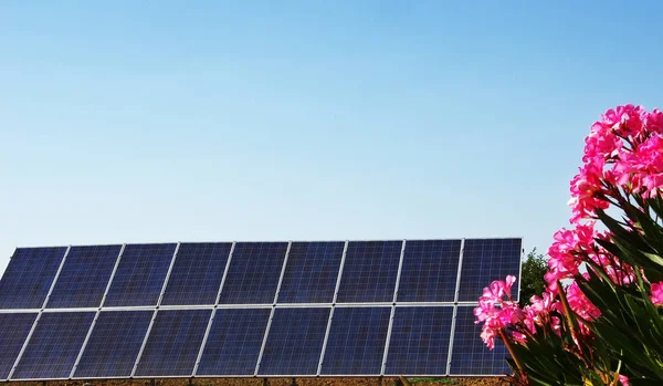 蓝天上的太阳能电池板 带粉红色花朵的花束 — 图库照片