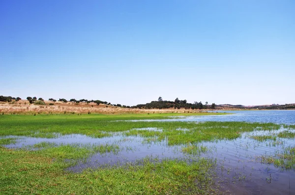 Озеро Алкева Вблизи Деревни Амьен Португалия — стоковое фото