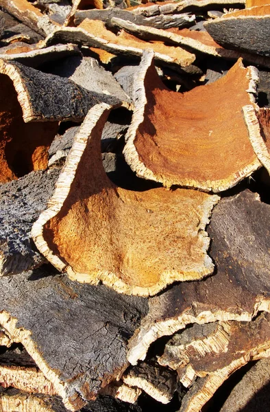 Cork Van Kurkeik Bomen Ten Zuiden Van Portugal — Stockfoto