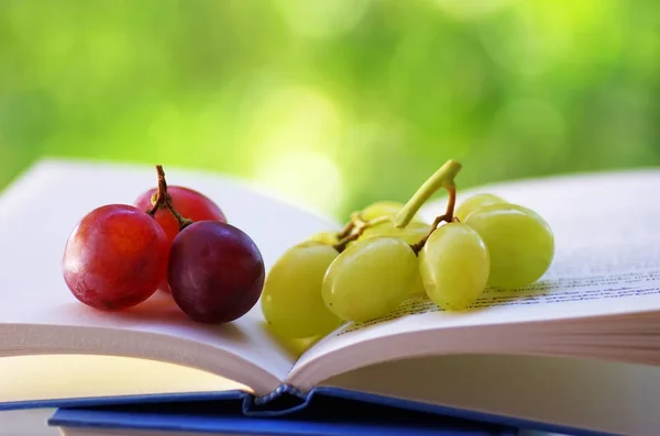 Cachos Uvas Livro Aberto — Fotografia de Stock