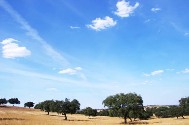 Alentejo bölgesi, Portekiz Güney peyzaj