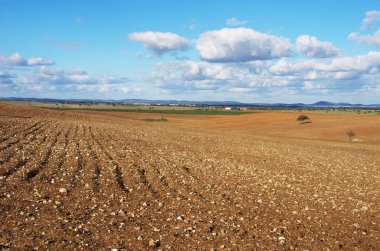plowed field, Alentejo region, Portugal clipart