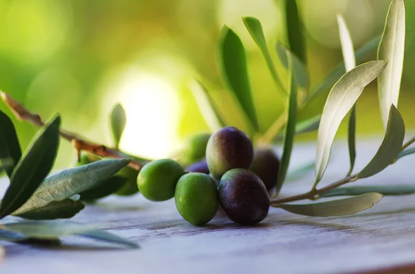 Oliven Auf Zweigen Mit Blättern Auf Dem Tisch — Stockfoto