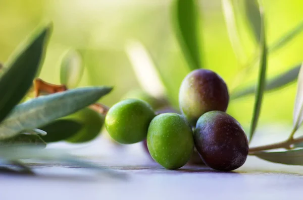 Olives on branches with leaves on table