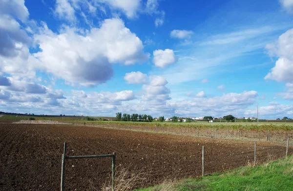 Gebied Van Landbouw Kleine Dorp Alentejo Portugal — Stockfoto