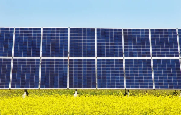 黄色领域的太阳能电池板 — 图库照片