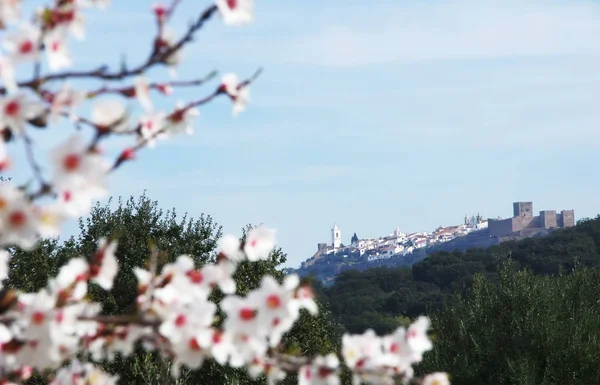 Krajobraz Starej Wsi Monsaraz Portugalia — Zdjęcie stockowe