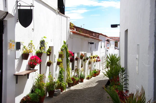 Gammel gade med blomster, Moura (Portugal ) - Stock-foto