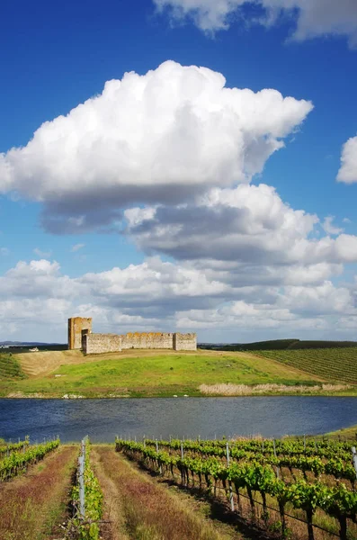 Vinhedo e castelo de Valongo, região alentejana, Portugal — Fotografia de Stock