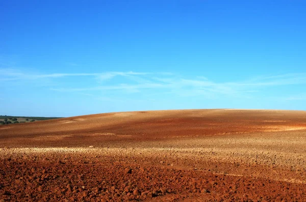 Szántott terület Portugália Alentejo síkságán — Stock Fotó