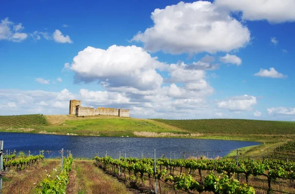 Szőlő és Valongo Castle, Alentejo region, Portugália — Stock Fotó