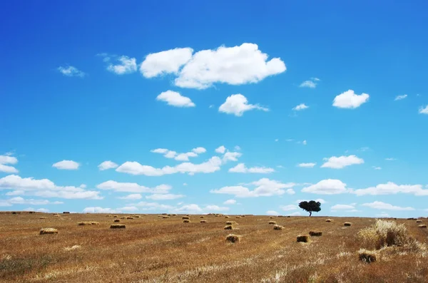 Paysage avec balles de foin, région environnejo, sud du Portugal — Photo