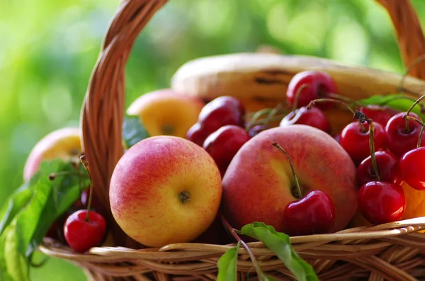 Full wooden basket of fresh fruit — Stock Photo, Image