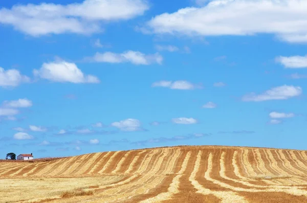 景观与稻草,阿连特茹地区,葡萄牙南部 — 图库照片