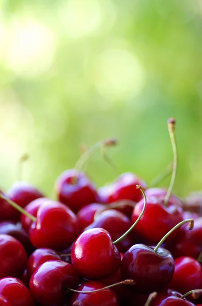 Sweet cherries against green background — Stock Photo, Image