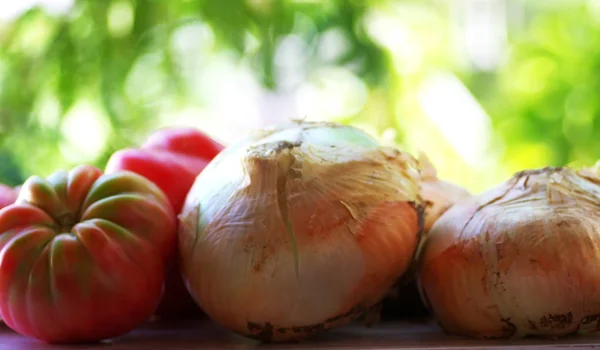 Tomates maduros e cebolas na mesa — Fotografia de Stock