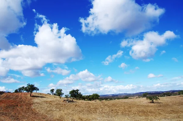 Landscape of Alentejo field, trees and clouds — Stock Photo, Image