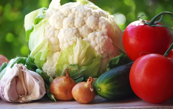 Pomodori Verdure Fresche Cipolla Aglio Cetrioli Cavolfiore Sfondo Verde — Foto Stock